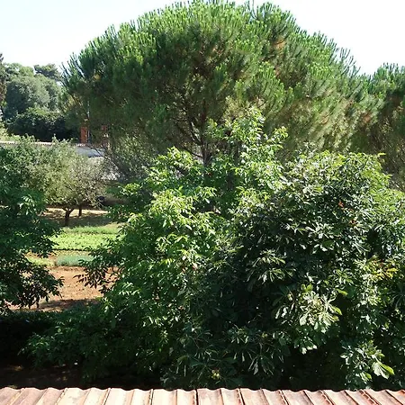 Blaskovic Apartman *