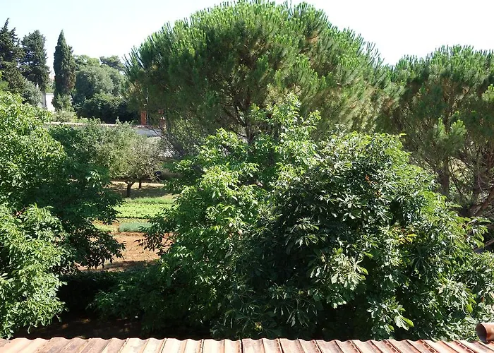 Blaskovic Apartment *